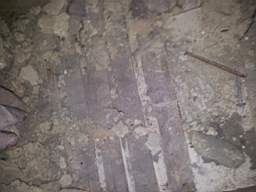 fkillineybeforeinternal 1075.jpg